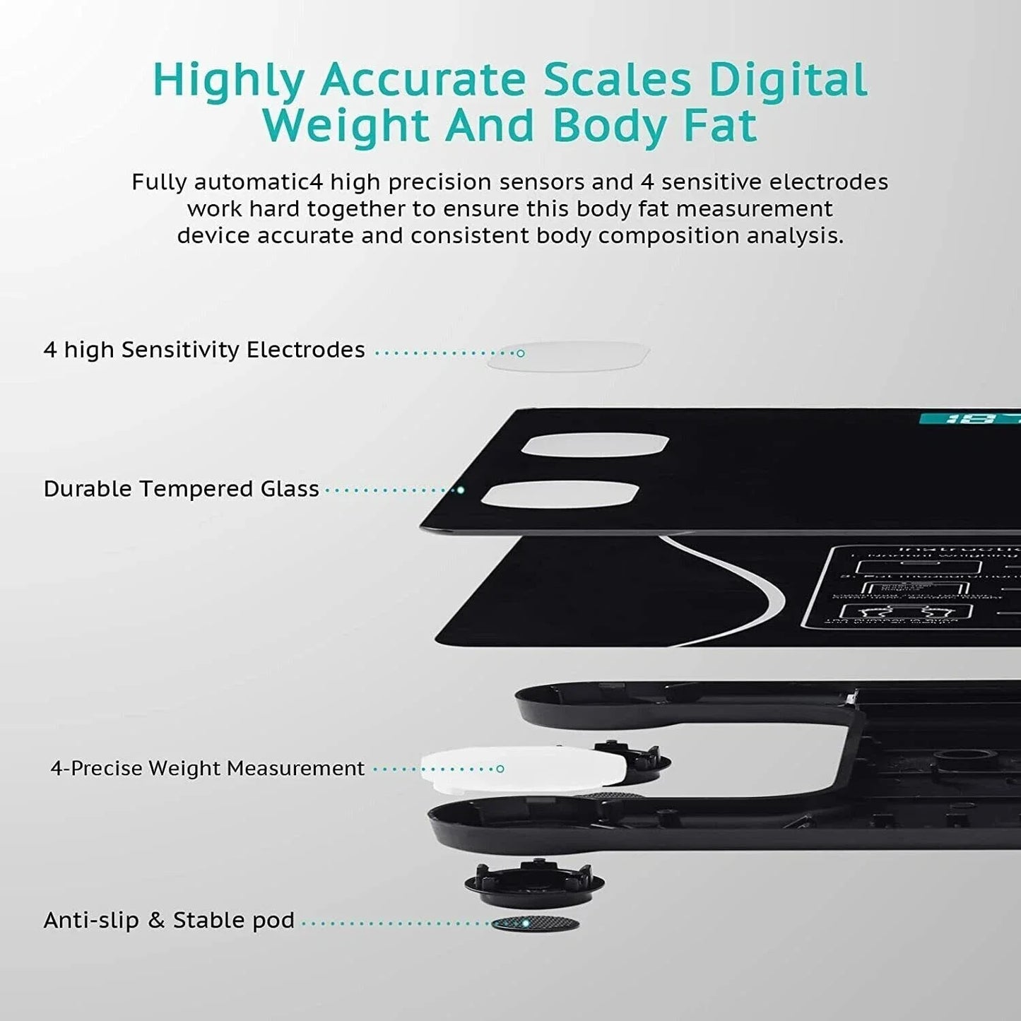 Rechargeable Body Fat Scale With Large Display And App