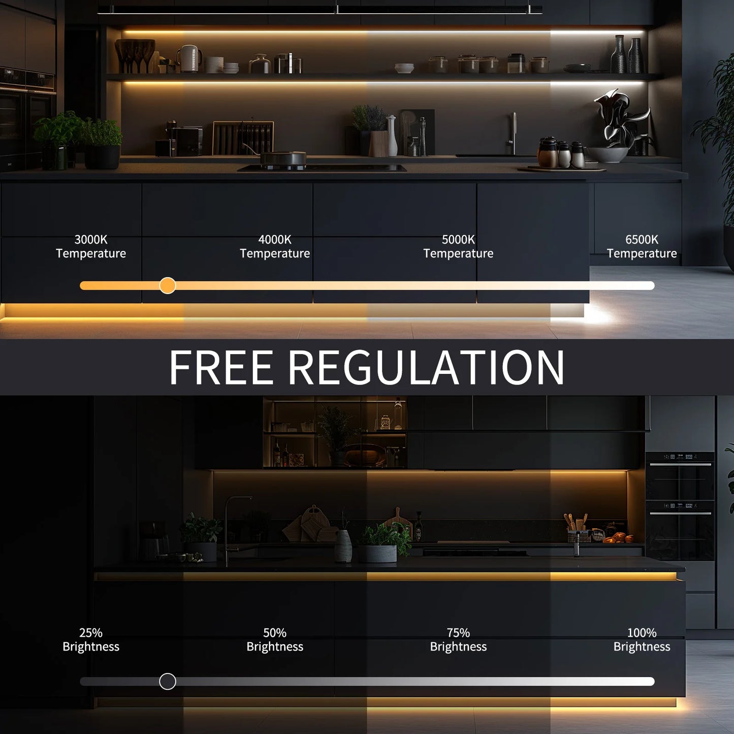 Neon LED Strip Lights 24V Dimmable Remote IP67 Waterproof