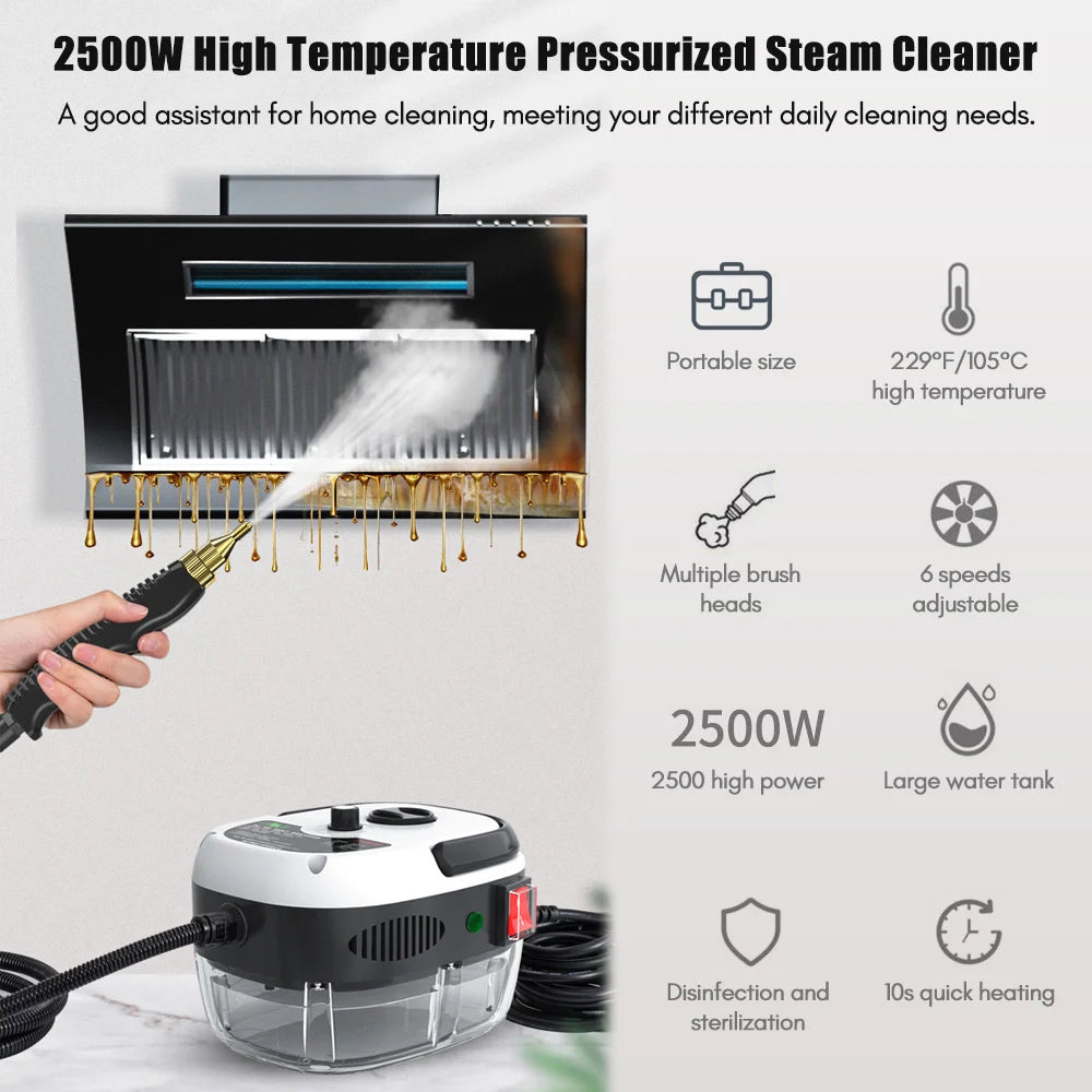 2500W Portable Handheld Steam Cleaner High Temp 3BAR