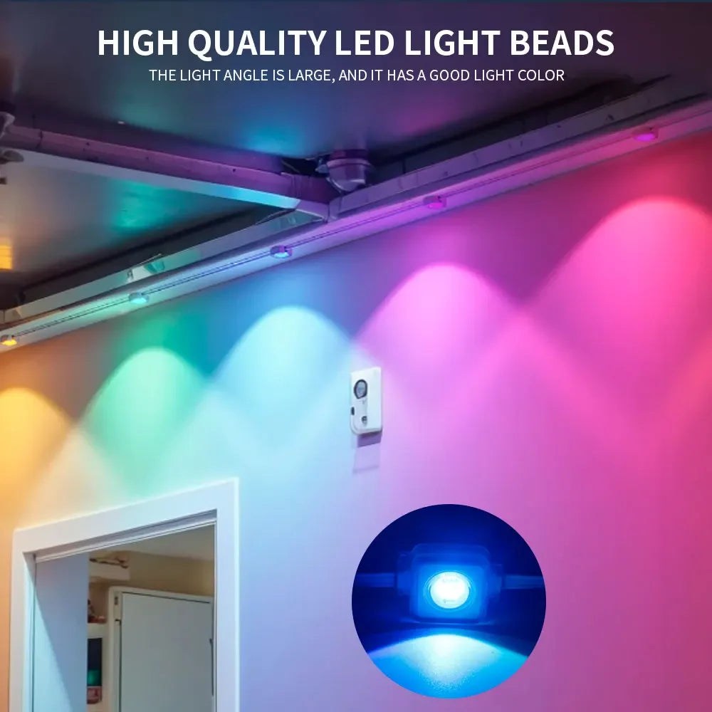 30W Eaves LED Smart Outdoor RGB LED Light With Remote