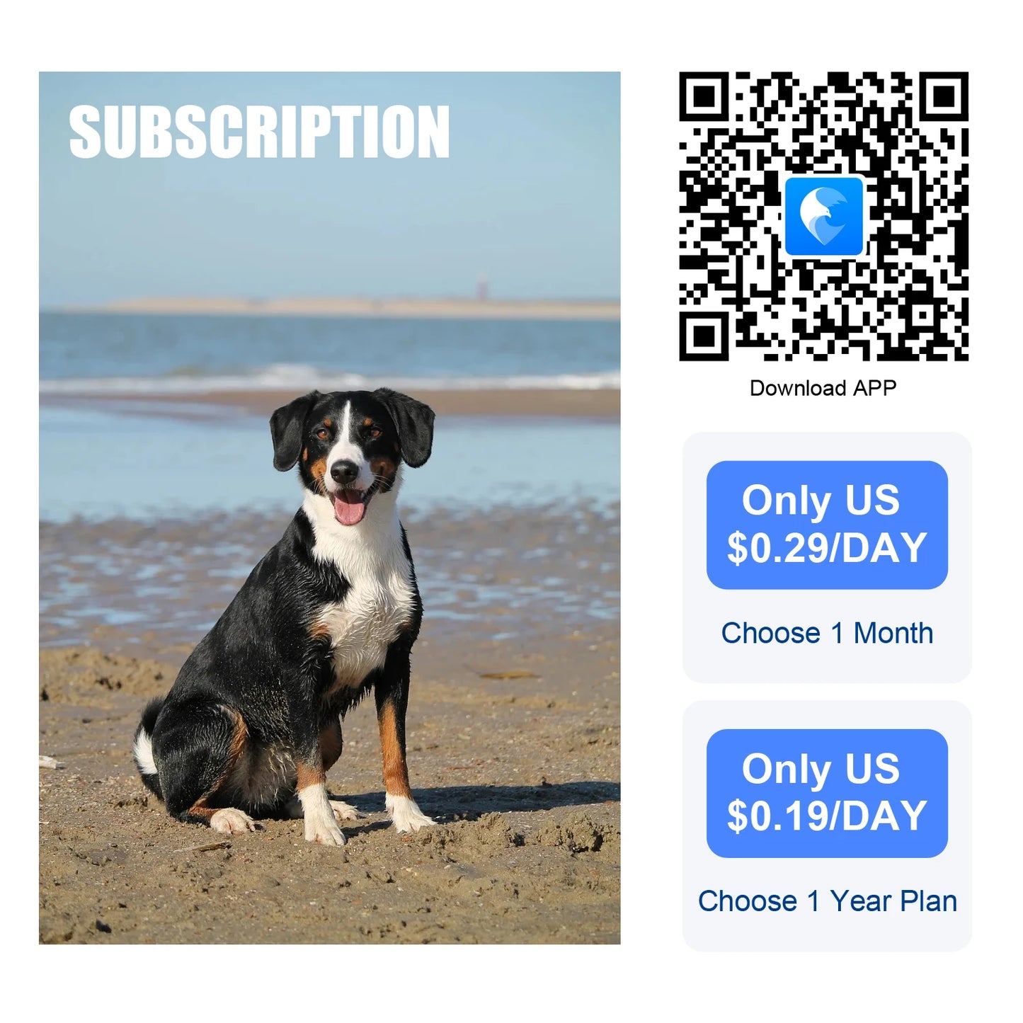 4G GPS Pet Locator Waterproof Tracking Device Free Month