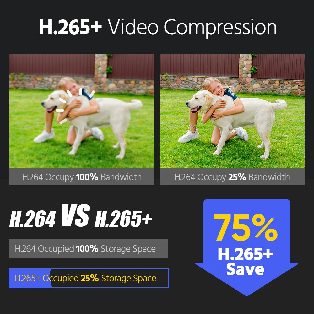 ANNKE C1200 Smart Dual Light 12MP PoE IP Camera With Mic