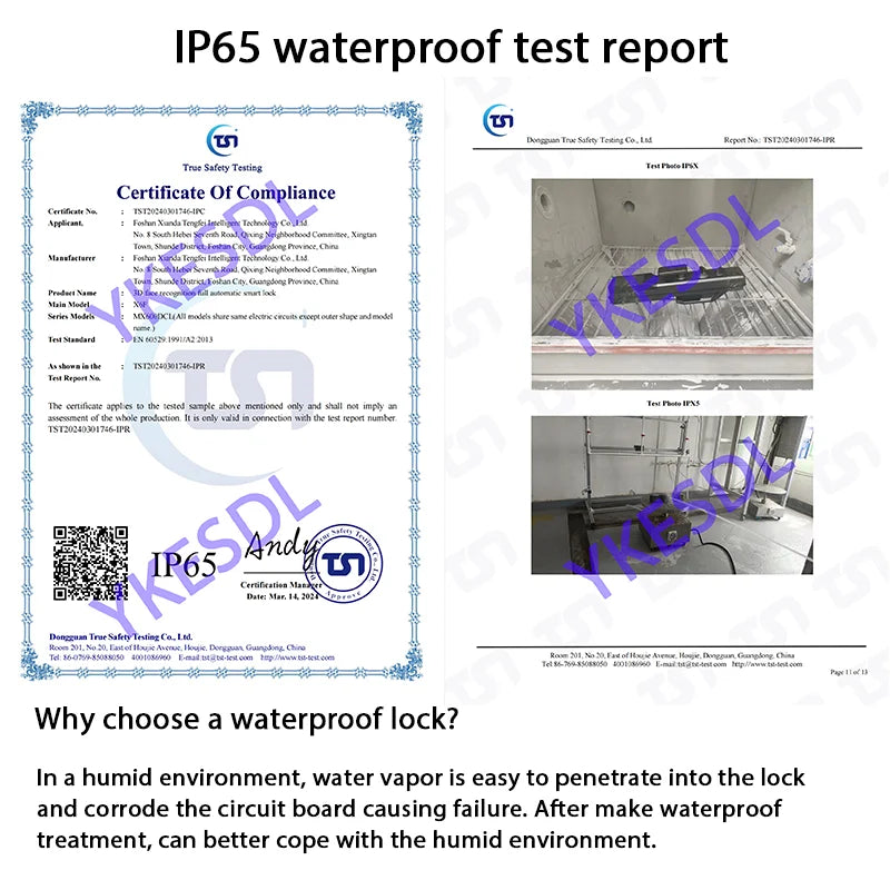 Alexa Voice Control Smart Door Lock Tuya APP 3D Face Recognition Electronic Digital Smart Door Lock With Camera